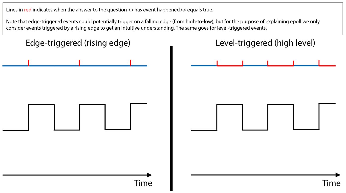 Figure from page 101